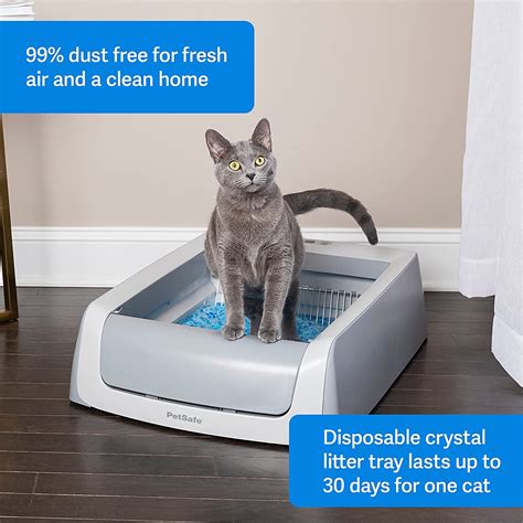 scoopfree self cleaning litter box